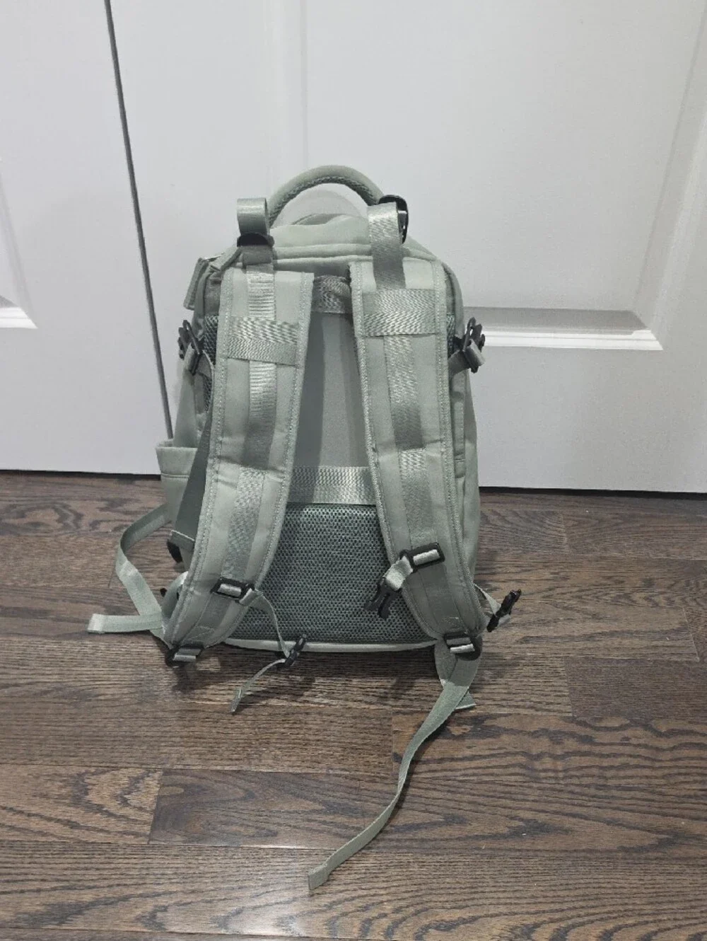 Men's Sage Green Backpack - Everyday Bag